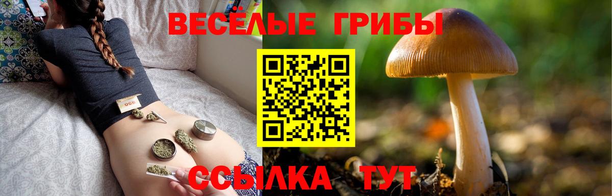 Псилоцибиновые грибы GOLDEN TEACHER  Вход с VPN  Родники 